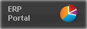 ERP Portal